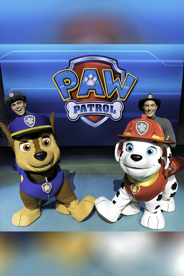 Tenis paw on sale patrol cklass